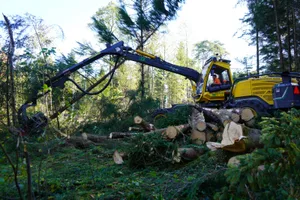 https-zueriost-ch-sites-default-files-elvis-media-2021-10-dsc01046_preview-jpg Mit schwerem Gerät: Christian Muggler fällt mit dem Harvester eine Fichte im Rütiwald., Die 20 Tonnen schwere Maschine erntet die Bäume, entastet und zersägt sie vollautomatisch. , Anschliessend werden sie von einem Forwarder abtransportiert.