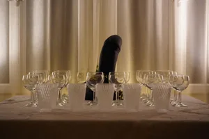 dsc00495_preview_0 Bereit für den späteren Apéro: Getrunken wird aus Weingläsern, der Penis ist nur Dekoration., Die Gastgeber des Abends: János Stefan Buchwardt und die Sängerin Gabriella Azoulay., Aufführungsort: Der Grüne Salon in der Alten Kanzlei in Wald.