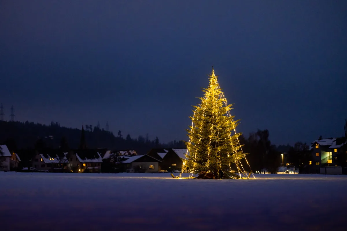 Ein beleuchteter Christbaum in der Nacht.