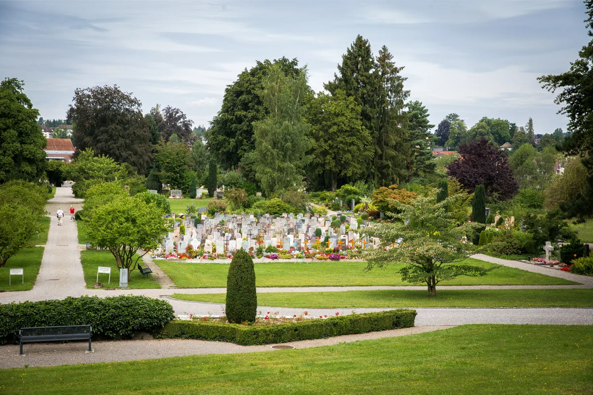 rueti_02082016_%20friedhof_sbo_7_preview Beim Friedhof Rüti können heute keine Baumfällungen durchgeführt werden.