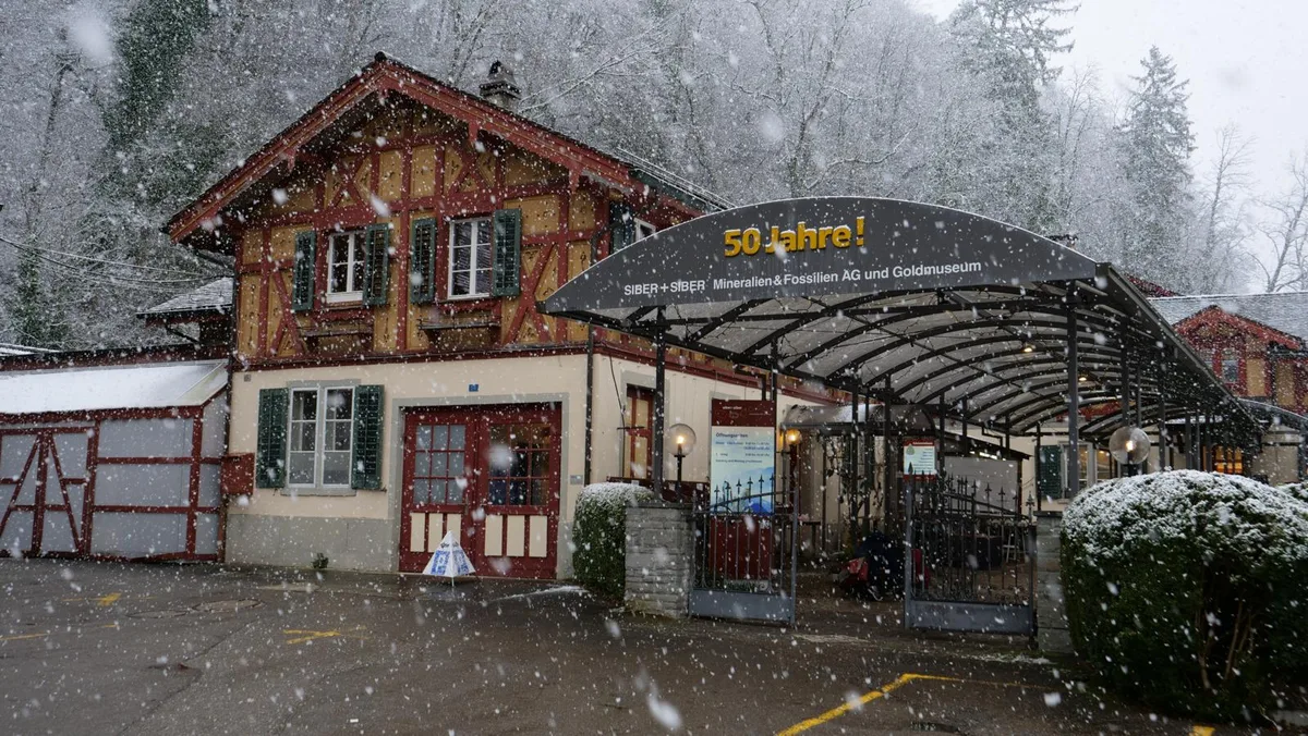 Die ehemalige Fabrikantenvilla, in der Siber + Siber Edelsteine zeigt, hat auch den Besitzer gewechselt. (Foto: Simon Grässle)