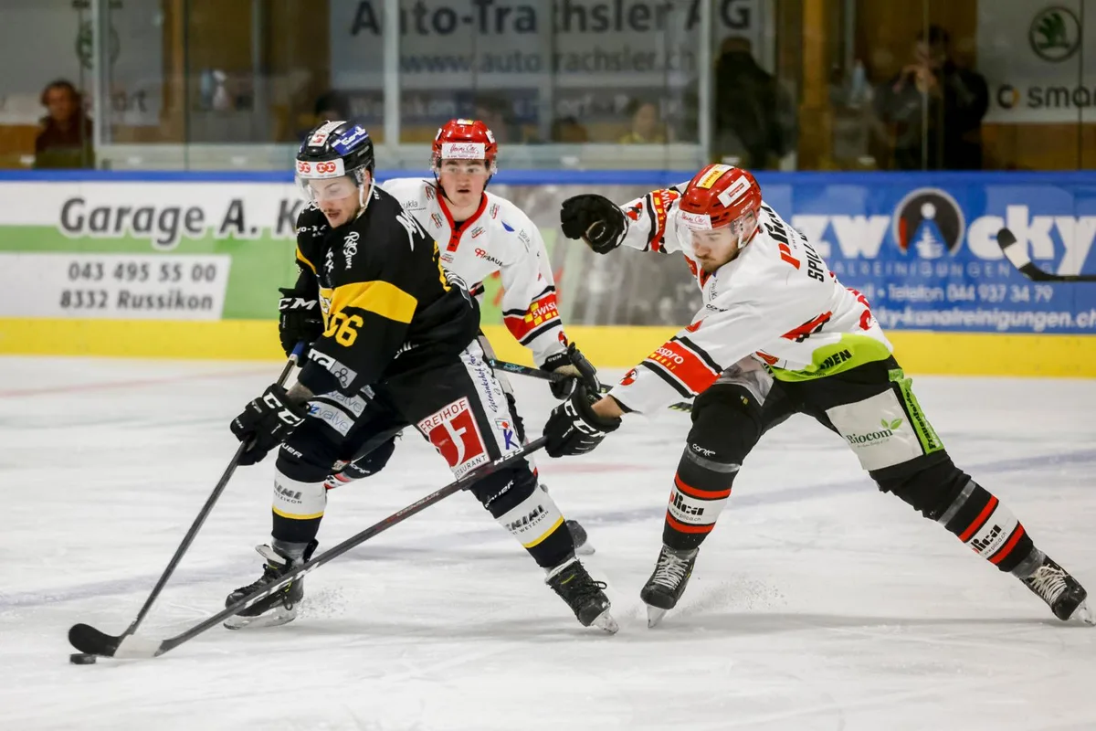 https-zueriost-ch-sites-default-files-elvis-media-2022-01-sport_04122021_ehwetzikon_crm_12_preview-jpg Der EHC Wetzikon (Robin Reinmann, links) hat zum Abschluss der Qualifikation zwei Gegner, die er bezwingen muss., Der EHC Illnau-Effretikon (Luca Tresch) trifft in den Playoffs auf Schaffhausen. , Die Dürnten Vikings (Mirco Stuber, links) kämpfen in der Abstiegsrunde um den Ligaerhalt.
