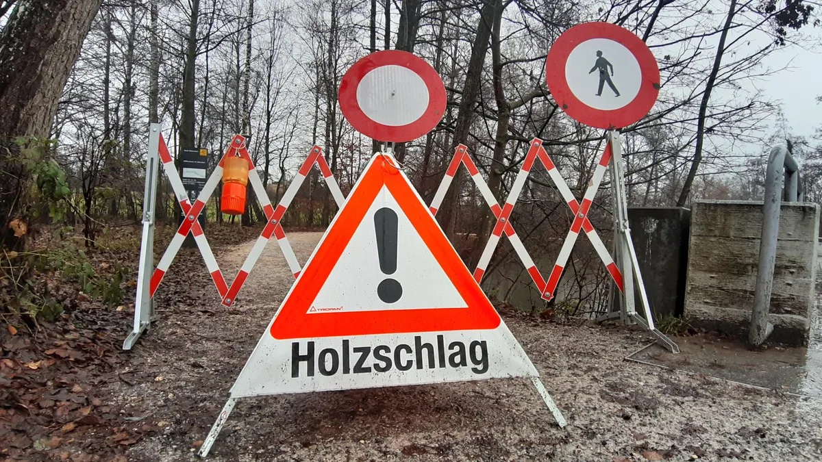 Im Chämptnertobel müssen Fichten gefällt werden.
