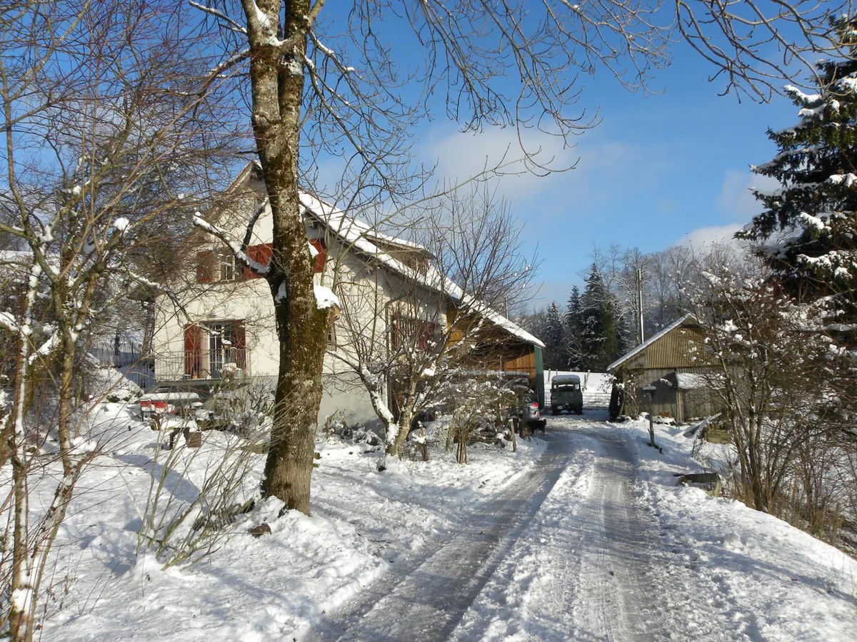 Der Beerberg wurde 1946 neu gebaut, aus einem tragischen Grund., Das Vorgänger-Gebäude fiel einer Brandstiftung zum Opfer., Der Beerberg liegt abgeschieden an der Strasse zur Alpwirtschaft Schnurrberg., Die Umgebung des Hauses bietet den Tieren viel Platz.