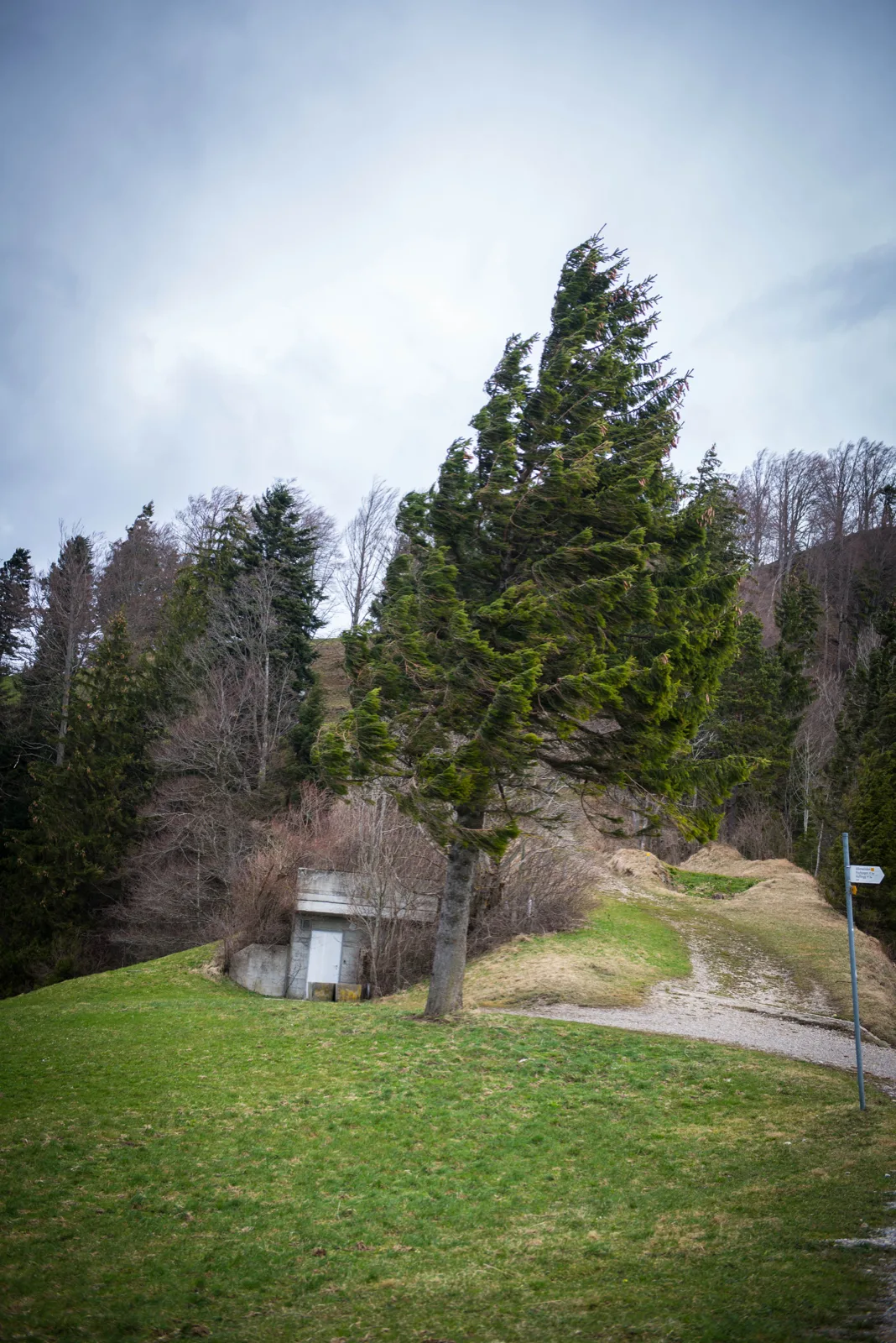 dsc_8913_preview Sturm «Antonia» bringt starke Winde in die Schweiz.