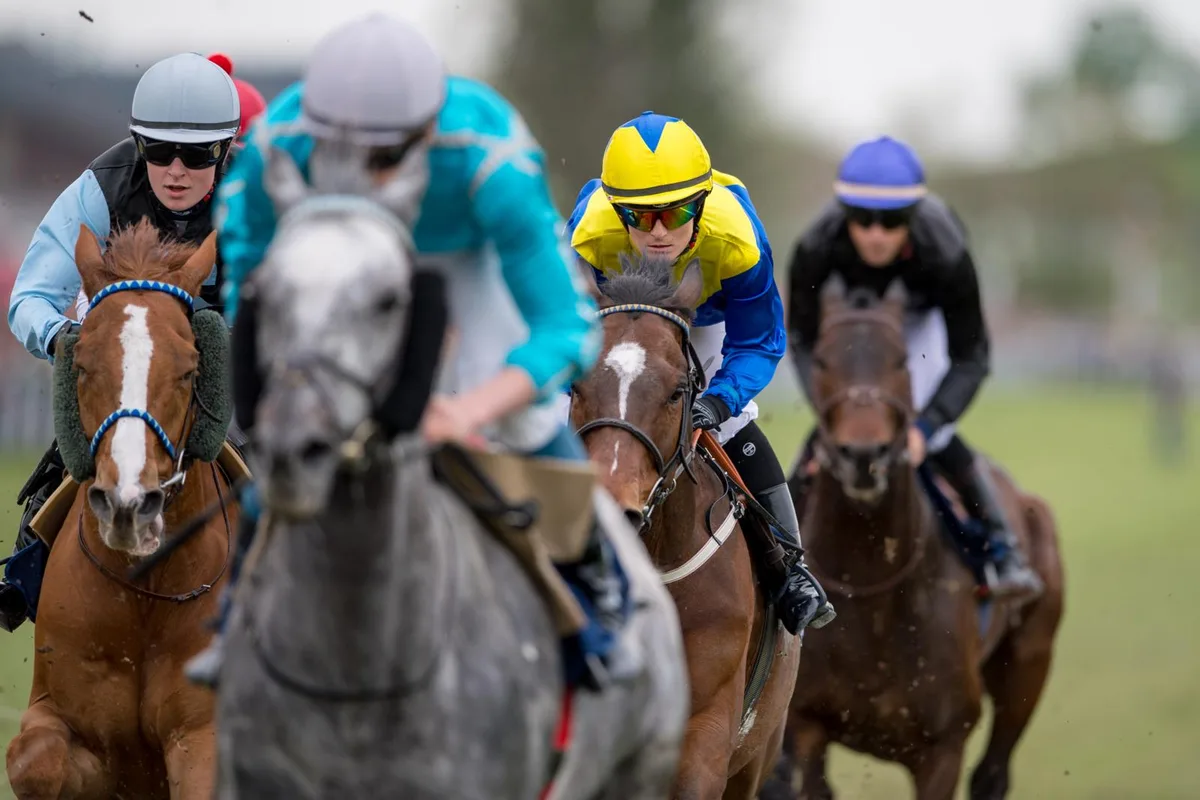 sport_22042019_osterrennen_pif-16_preview Das Osterrennen 2022 findet in Frauenfeld statt. Der dortige Rennverein gewährt dem OK ein Gastrecht., Eine Austragung auf der Barmatt ist für einige Jahre nicht möglich. Der Landbesitzer hat einen Teil davon gepflügt.