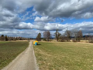 010322_aegerstenriet_2_cb_preview Diese Wiese rechts der Strasse soll wieder zu einem Feuchtgebiet werden.
