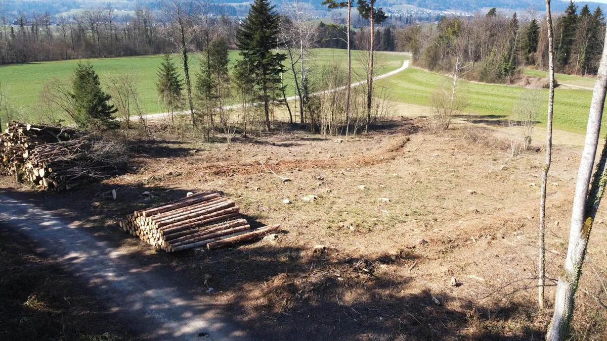 Auf 16 Aren Fläche ist ein laut Baudirektion instabiler Fichtenbestand abgeholzt worden., An mehreren Stellen türmen sich die geschlagenen Baumstämme., Ein Blick aus der Vogelperspektive auf das abgeholzte Waldstück. , Auf der Wiese im Hintergrund soll die Deponie Leerüti realisiert werden., Je nach Version soll die Deponie fünf oder zwölf Hektaren umfassen. Im Hintergrund ist der Hof von Heinrich Wintsch zu sehen.