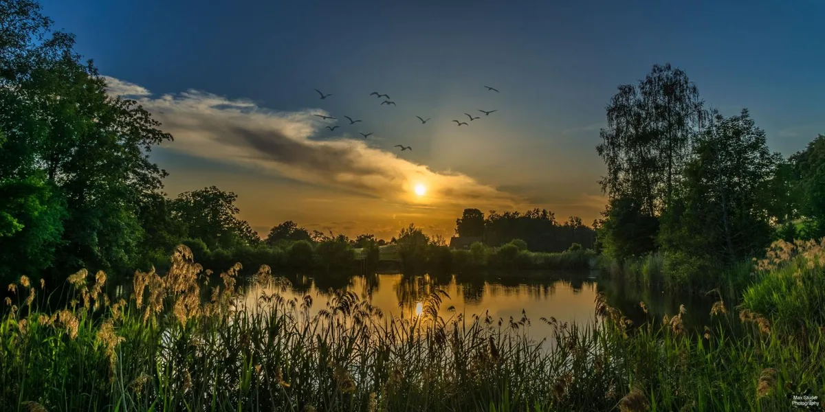 https-zueriost-ch-sites-default-files-elvis-media-2022-03-leserbild_26082021krebsiweiher_preview-jpg