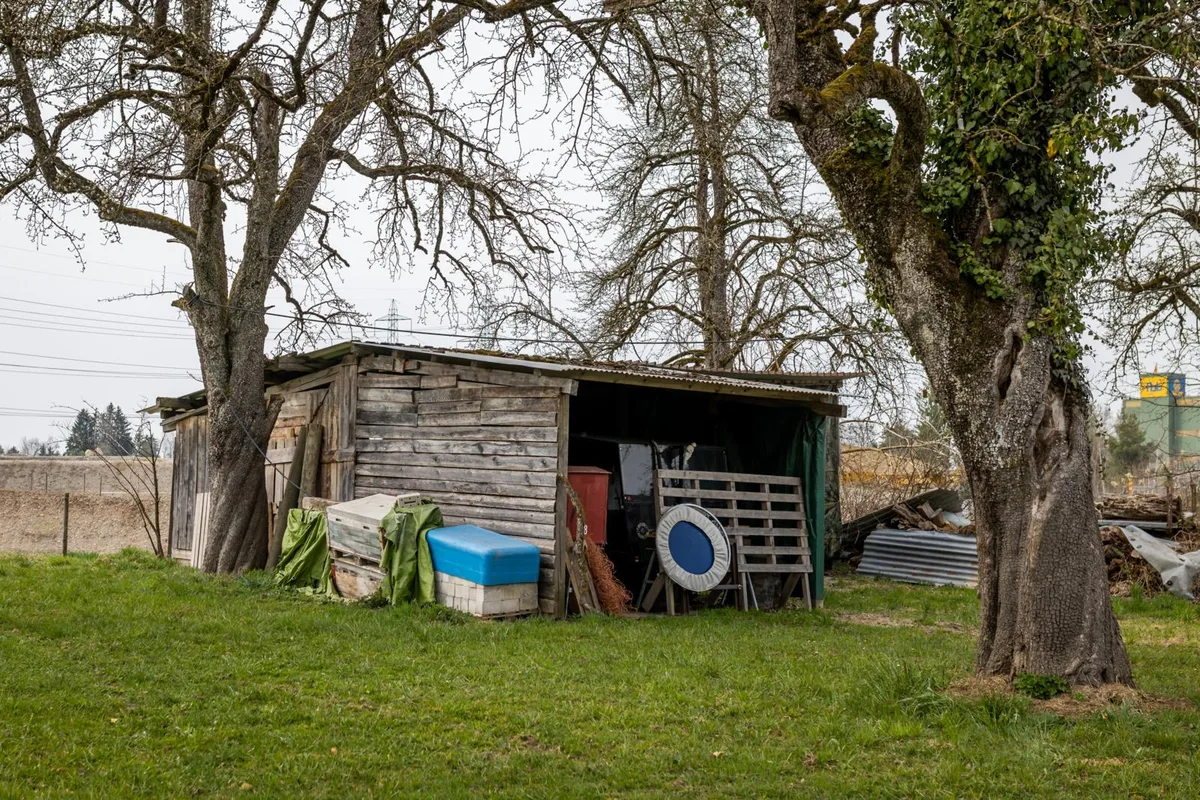 Für diesen Unterstand verlangt die Gemeinde eine Baubewilligung - er steht schon seit 20 Jahren. (Foto: Christian Merz) Holzunterstand auf einer Wiese.