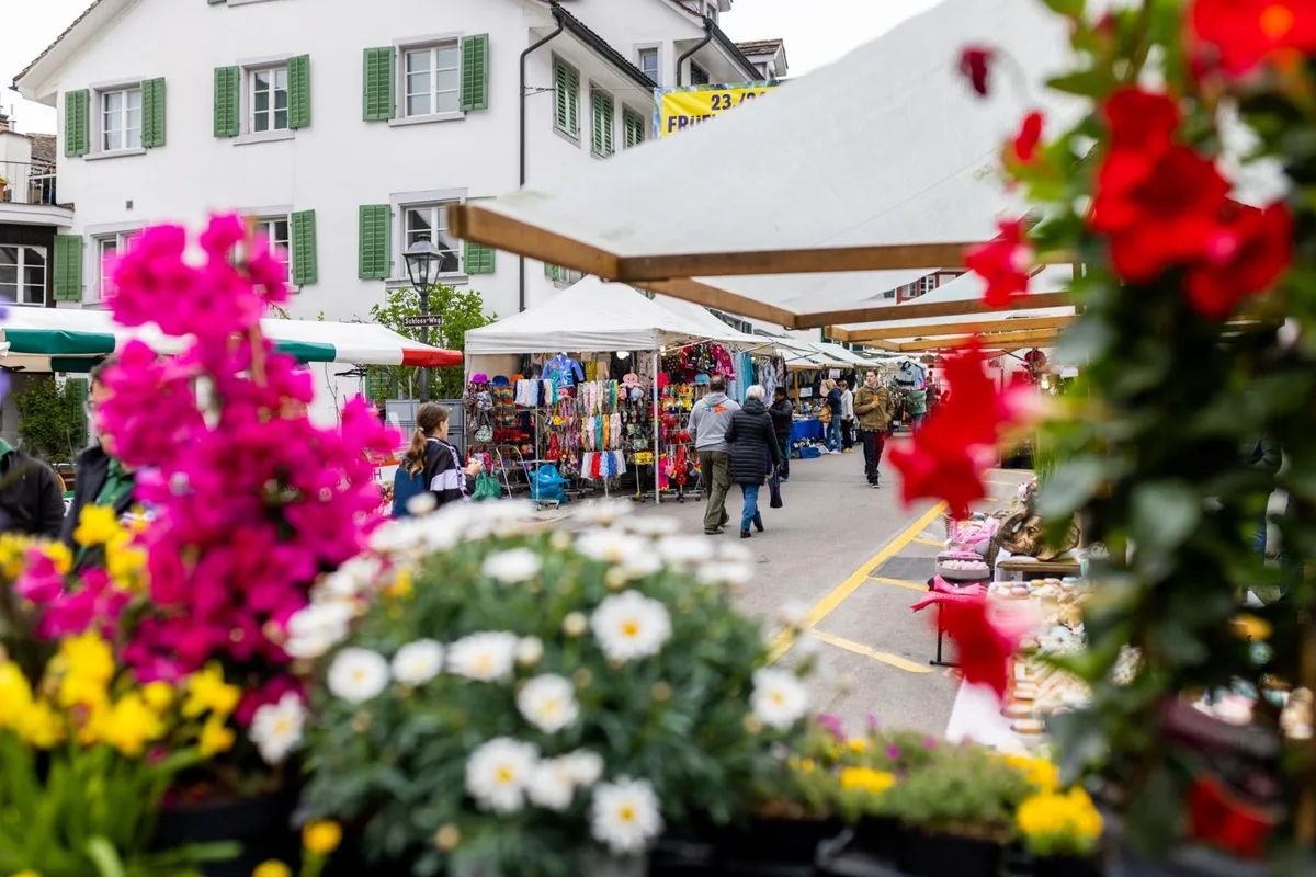 Die bunten Blumen gaben sich alle Mühe, den Grüninger Frühlingsmarkt so frühlingshaft wie möglich aussehen zu lassen. , Die Besucher schlenderten gemütlich durch den Markt., Denn sie wussten: Der Frühling kommt dann schon wieder. Blumen kaufen muss man also ohnehin. , Ausserdem sehen Olivenbäume aus der Toskana im Garten auch bei wüstem Wetter schick aus. , Wer vom unwirtlichen Wetter überrascht wurde, konnte sich etwas Warmes kaufen. , Oder sich beim Musikorgel-Drehen aufwärmen. , Etwas Heisses essen war natürlich auch eine Option. , Wer kein Geld hatte für die Stände, kam im historischen Stedtli immerhin auf seine Flanierkosten., Über Skulpturen fachsimpeln, kostet auch nichts. , Glace essen und Tratschen ist ziemlich günstig und tut gut., Ballone kosten zum Glück auch kein Vermögen. , Den Kindern auf dem Karussell zu schauen ist ebenfalls kostenfrei und macht Spass. , Selbstverständlich nicht so viel Spass wie selbst auf dem Karussell zu fahren.