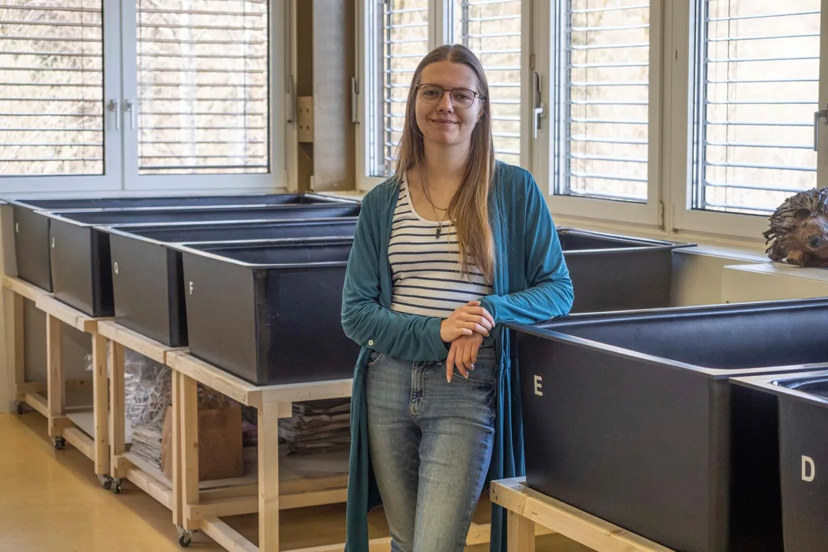 https-zueriost-ch-sites-default-files-elvis-media-2022-04-igelstation-kollbrunn-agy-14_preview-jpg Juliette Roder ist Präsidentin des Trägervereins Igelstation Kollbrunn., Zu den Aufgaben der Igelstation gehört es, Igelwaisen aufzupäppeln., Interessierte können Gönner eines Pflegeplatzes werden – dieser erhält dann eine entsprechende Plakette.