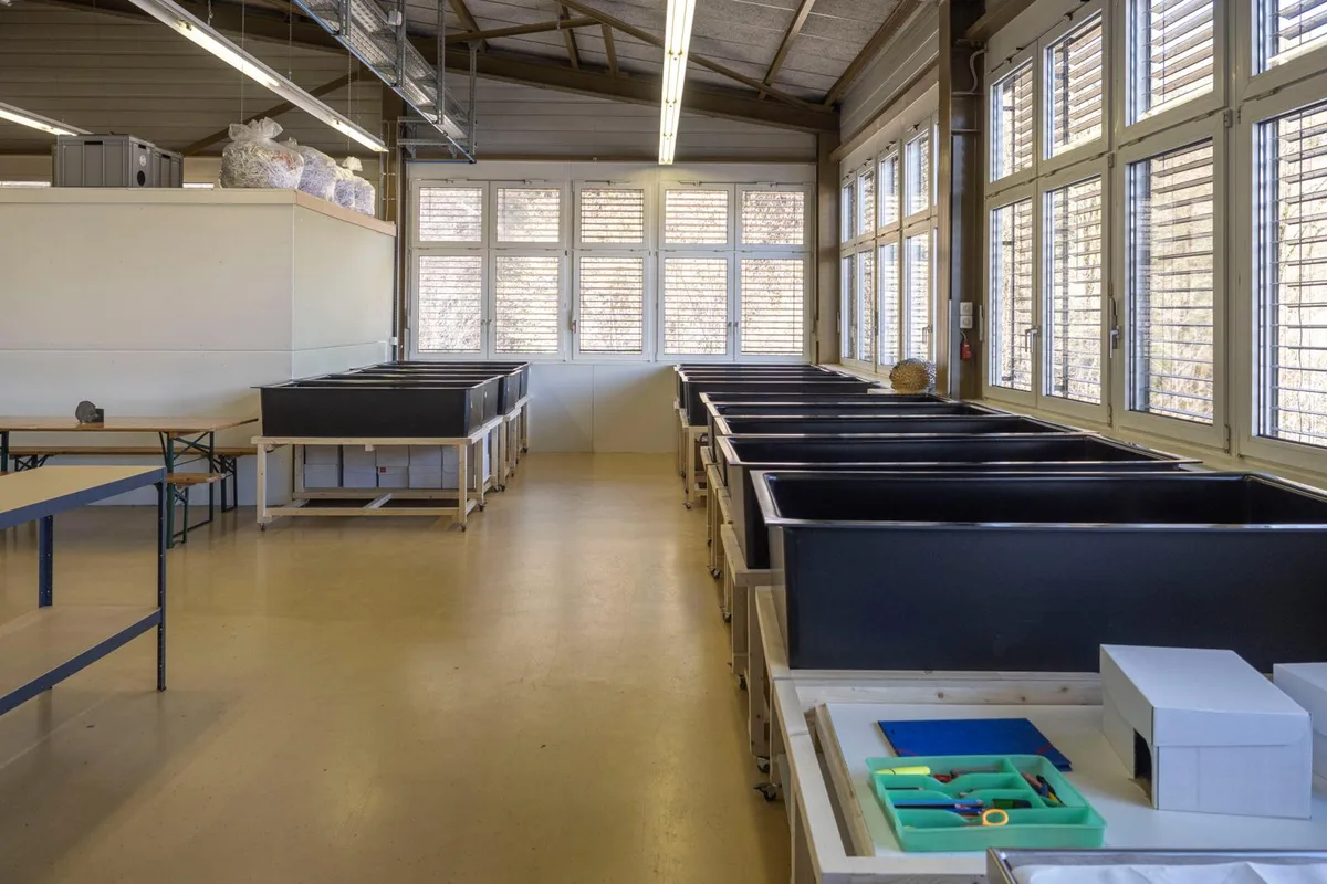 Auf dem Foto sieht man blaue Wannen für die Igel in der Igelstation in Kollbrunn.