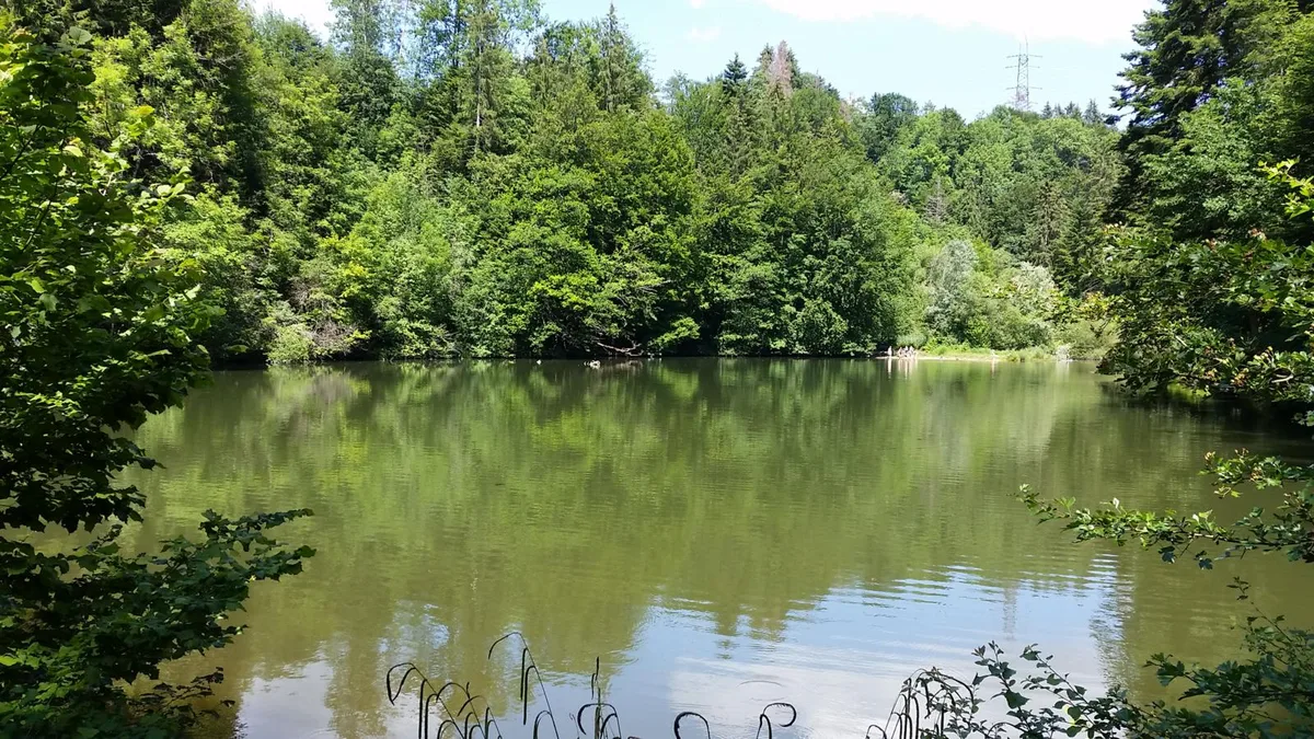 20190623_150227_preview Wasserkraft soll in Pfäffikon wieder stärker genützt werden, so will es die SVP. Im Bild der Tobelweiher.