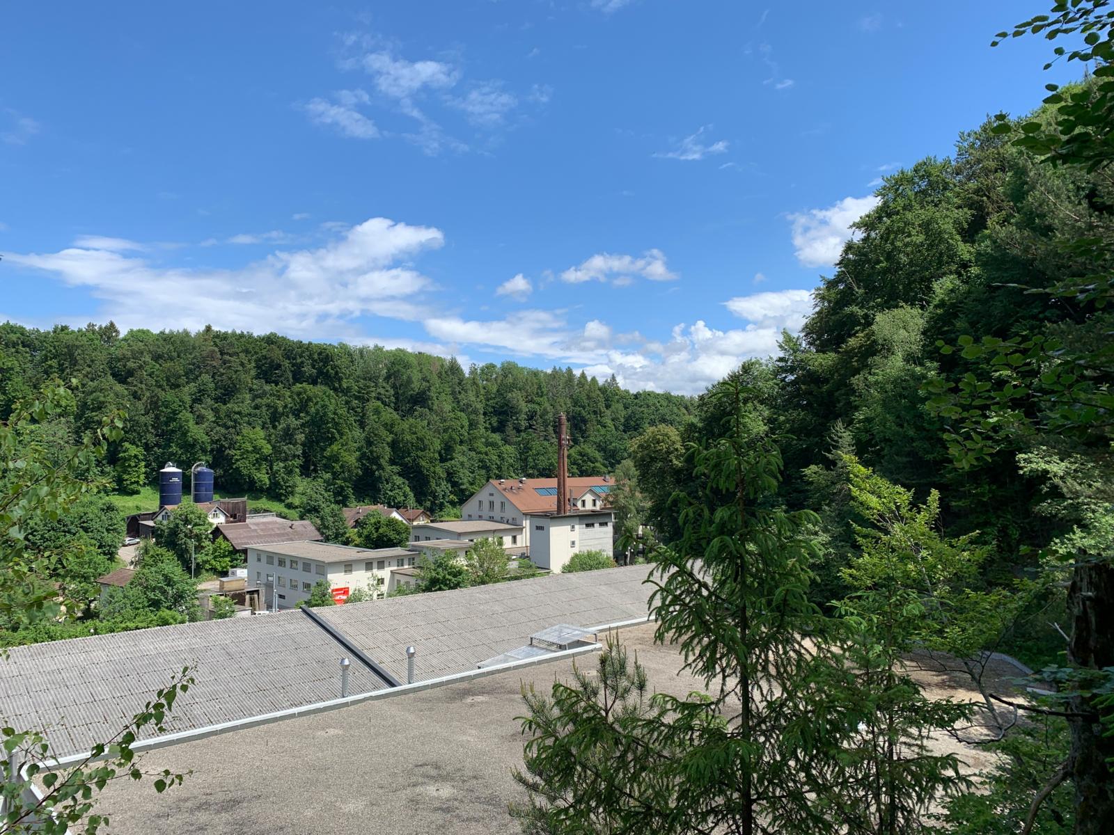 Unten Im Aatal hoch auf dem Kamin nistet ein Storchenpaar. (Foto: cb) 