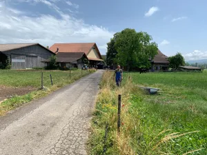 220622_neumatttv_cb_2_preview Der «Neumatt»-Hof aus der Serie liegt in Wirklichkeit auf dem Ustermer Tüllacker. , Für die Serie wurde der Hof wegen der Nähe zum Siedlungsrand ausgewählt., Ein 30-köpfiges Filmteam ist auf dem Hof von Christoph Steiner im Einsatz. , Für eine einzelne Szene wird rund zwei Stunden gedreht. , Producerin Jessica Hefti bespricht sich mit dem landwirtschaftlichen Berater Werner Locher.