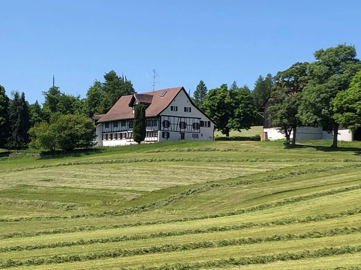 guldenen2_preview Steht seit 15 Jahren leer: der Waldhof Guldenen in Maur., Seit 2015 gehören Land und Anwesen dem Milliardär Urs E. Schwarzenbach.