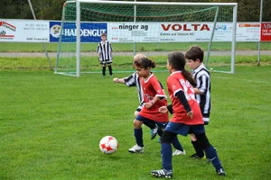 fc-turbenthal-maedchenmannschaft_preview Mädchen bis 10 Jahre können beim FC Turbenthal bald in einem eigenen Team spielen., Aktuell sucht der Verein eine Trainerin für die Mannschaft., Für Vereinspräsident Thomas Bürgis ist die Zeit reif für ein eigenes Mädchen-Team, da der Frauenfussball immer beliebter wird.