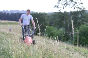 m%c3%a4henvier_preview Am frühen Morgen sind die Arbeiten schon in vollem Gange: Die artenreiche Wiese in Wetzikon wird gemäht., Anschliessend wird das gemähte Gras eingesammelt und nach Wetzikon gebracht., Dabei wird ein kleiner Fleck Gras stehen gelassen, damit die Tiere nicht von heute auf morgen ihre Nahrungsquelle verlieren., Der brachen Fläche wurde zuvor die oberste Schicht abgetragen, um sie von Unkraut zu befreien., Eine Fläche von rund vier Aren wird mit dem gemähten Gras bedeckt., Die Transplantation: Das Gras wird gleichmässig auf der Fläche verteilt. Dann lässt man es einfach liegen., Auch Rohr und Scheuring helfen mit - jedoch auf ihre eigene Art., Das Gras wird nun einfach liegengelassen. Bald wird wieder gemäht, denn vor allem Anfangs braucht die Fläche viel Pflege.