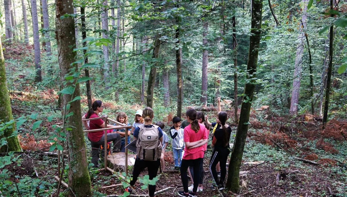 wald-naturatag-primarschule-turbenthal-forst-jagen-6_preview Interessiert lauschen die Kinder den Erklärungen von Försterin Miriam Lustenberger (links, im roten T-Shirt)., Die Begrüssung erfolgt mit Jagdhorn-Klängen., Um viertel nach acht beginnt der Anlass. Die Kinder stehen bereit im Halbkreis., Der Würfel zeigt, wie viel Wald pro Stunde nachwächst., Die Waffen von Jäger Roland Lehmann dürfen die Kinder nicht berühren. , Den Bärenschädel hingegen schon.
