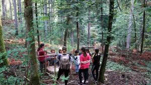 wald-naturatag-primarschule-turbenthal-forst-jagen-6_preview Interessiert lauschen die Kinder den Erklärungen von Försterin Miriam Lustenberger (links, im roten T-Shirt)., Die Begrüssung erfolgt mit Jagdhorn-Klängen., Um viertel nach acht beginnt der Anlass. Die Kinder stehen bereit im Halbkreis., Der Würfel zeigt, wie viel Wald pro Stunde nachwächst., Die Waffen von Jäger Roland Lehmann dürfen die Kinder nicht berühren. , Den Bärenschädel hingegen schon.