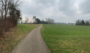 180322_leerueti_4_cb_preview Auf dieser Fläche zwischen Gossau, Esslingen und Mönchaltorf soll die Deponie zu liegen kommen., Auf einer Ecke der geplanten Deponie ist im Frühling abgeholzt worden. , Die Ansicht zeigt die ungefähre Lage der Deponie Leerüti mit 5 ha (gelbe Fläche) und erweitert auf 12 ha (orange).