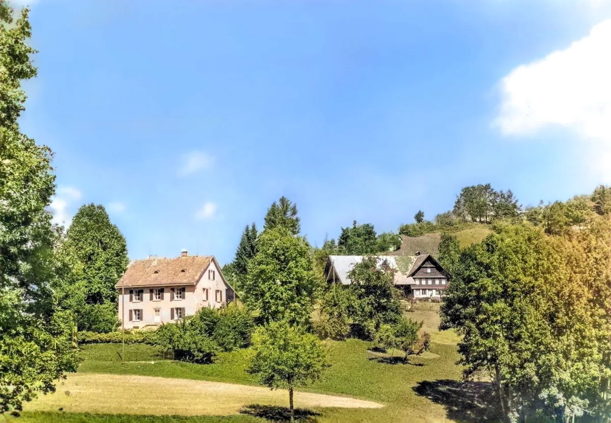Der Röseligarten ist aus der Geschichte von Sitzberg nicht wegzudenken., Einst fand in diesem die sogenannte «Rüebli-RS» statt, wo junge Frauen beispielsweise kochen lernten., Das Gebäude ist heute im Besitz des Vereins Chupferhammer.