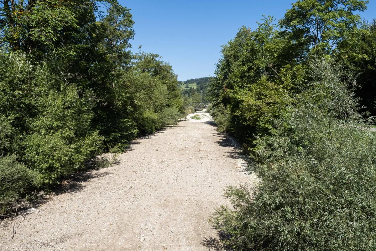 Hier wird in der Töss weniger Gesteinsmaterial zugeführt, als der Fluss transportieren kann., Besagter Abschnitt befindet sich bei der Sommerau-Brücke in Wila., Der kantonale Gewässerunterhalt informiert auf einer Tafel über die getroffene Massnahme.
