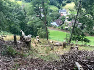 310722_fischenthal_cb_2_preview Die Baumstümpfe sind bei den Kaschmirziegen sehr begehrt. , Andreas Kurtz (links) und ein Kollege bei der Kaschmir-Pedicure.