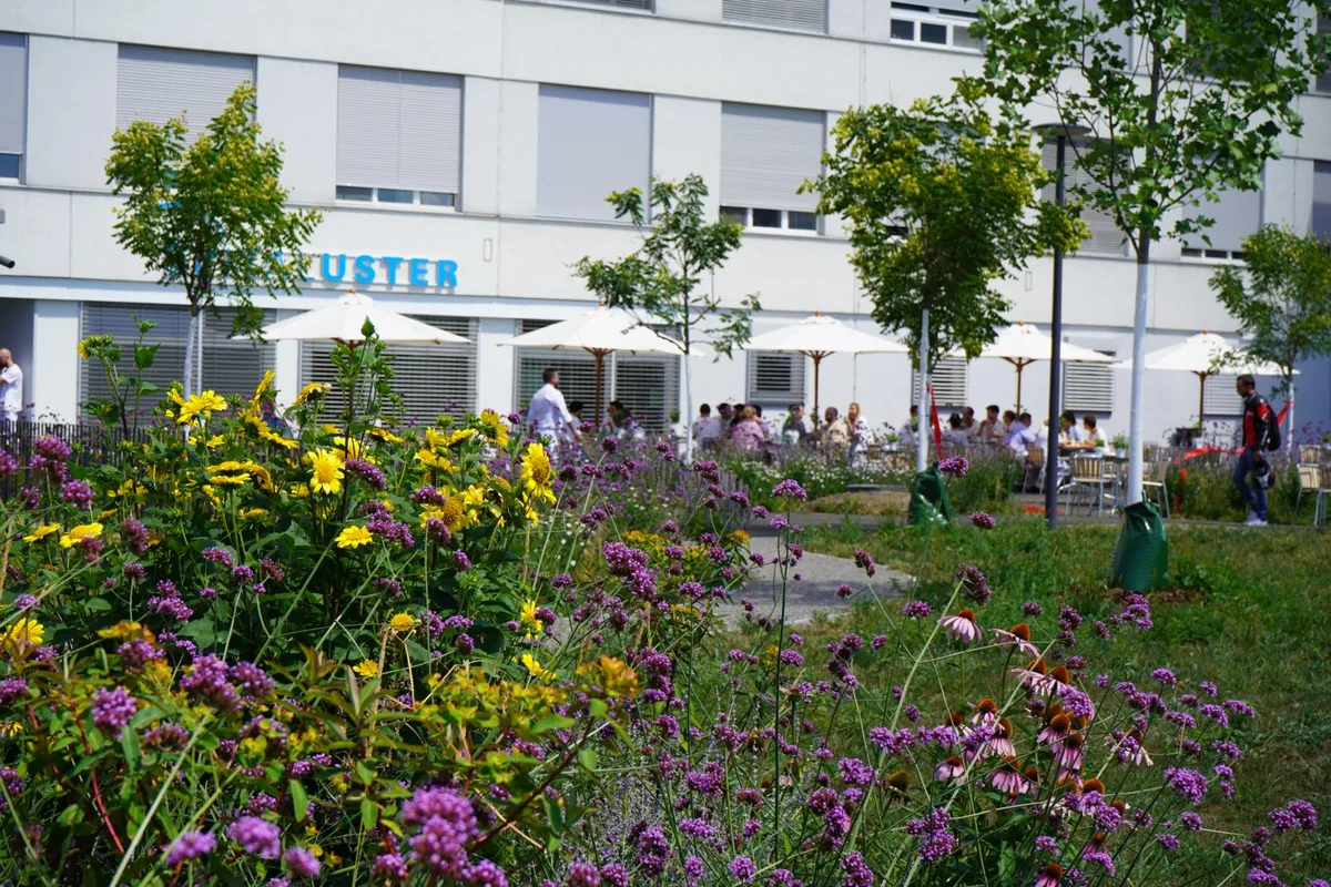 Ein naturnaher Park beim Spital Uster: Dieser wurde am Dienstag eröffnet., Spitaldirektor Andreas Greulich zerschnitt symbolisch ein rotes Band und eröffnete den neuen Park beim Spital., Durch diesen ziehen sich lange geschwungene Wege., Unter dem Park ist das neue Parkhaus des Spitals, welches über 317 Parkplätze verfügt.