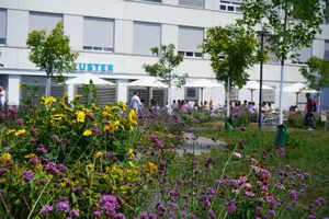 dsc01529_preview Ein naturnaher Park beim Spital Uster: Dieser wurde am Dienstag eröffnet., Spitaldirektor Andreas Greulich zerschnitt symbolisch ein rotes Band und eröffnete den neuen Park beim Spital., Durch diesen ziehen sich lange geschwungene Wege., Unter dem Park ist das neue Parkhaus des Spitals, welches über 317 Parkplätze verfügt.