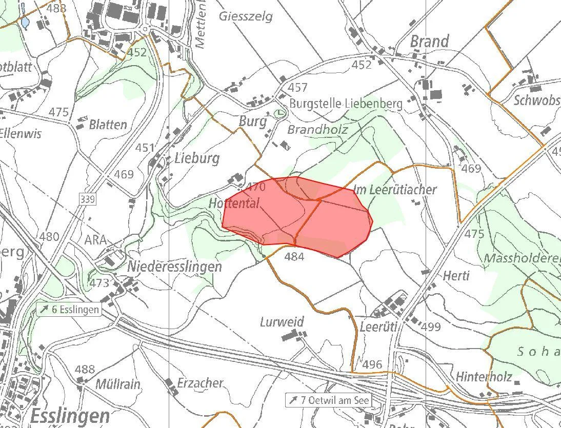 Die Karte zeigt die ungefähre Lage der vergrösserten Deponie Leerüti (rot) auf Gossauer (rechts), Egger (links) und Mönchaltorfer (oben) Boden (Gemeindegrenzen orange). Unten ist der Forchstrassen-Anschluss Oetwil zu sehen. (Karte: GIS Kanton Zürich)