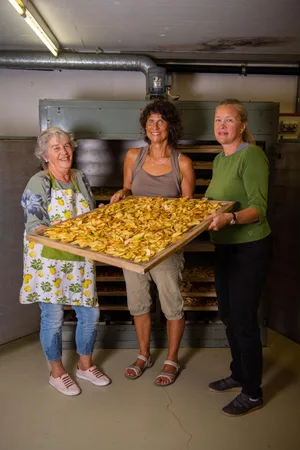 doerranlage-duernten-sbo-21_preview Margrit Stark, Manuela Rohr und Vreni Schweizer (v.l.) arbeiten in der Dörranlage Dürnten. , Sie verteilen Früchte und Gemüse, die ihnen gebracht werden, auf Dörrgittern..., ... die dann über Nacht im Dörrofen getrocknet werden. , Birnen, Äpfel oder Mirabellen (unten)..., ... verlieren so ihre Feuchtigkeit..., ... und bleiben dadurch länger haltbar.