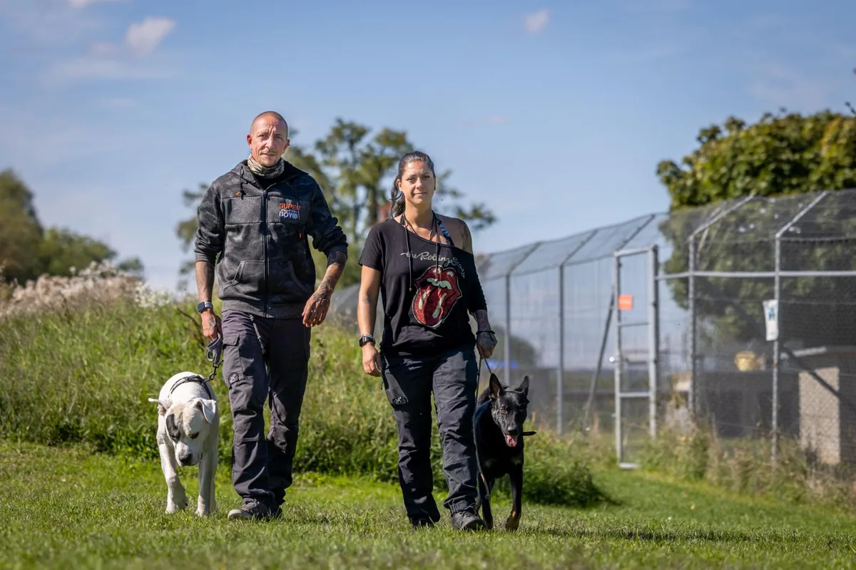 hundekurse-tierheim-strubeli-hegnau-crm-20_preview Martin Bacher und Nicole Zibung betreiben die Hundeschule «Calm Dog».