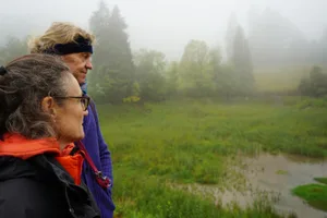 dsc02718_preview_1 Die Walder schauen ratlos auf ihren ehemaligen Badeweiher., Momentan ist nur Sumpf zu sehen., Der Weg rund um den Weiher ist momentan nicht zugänglich., Der Weiher wurde schon im Spätsommer 2021 leergefischt.