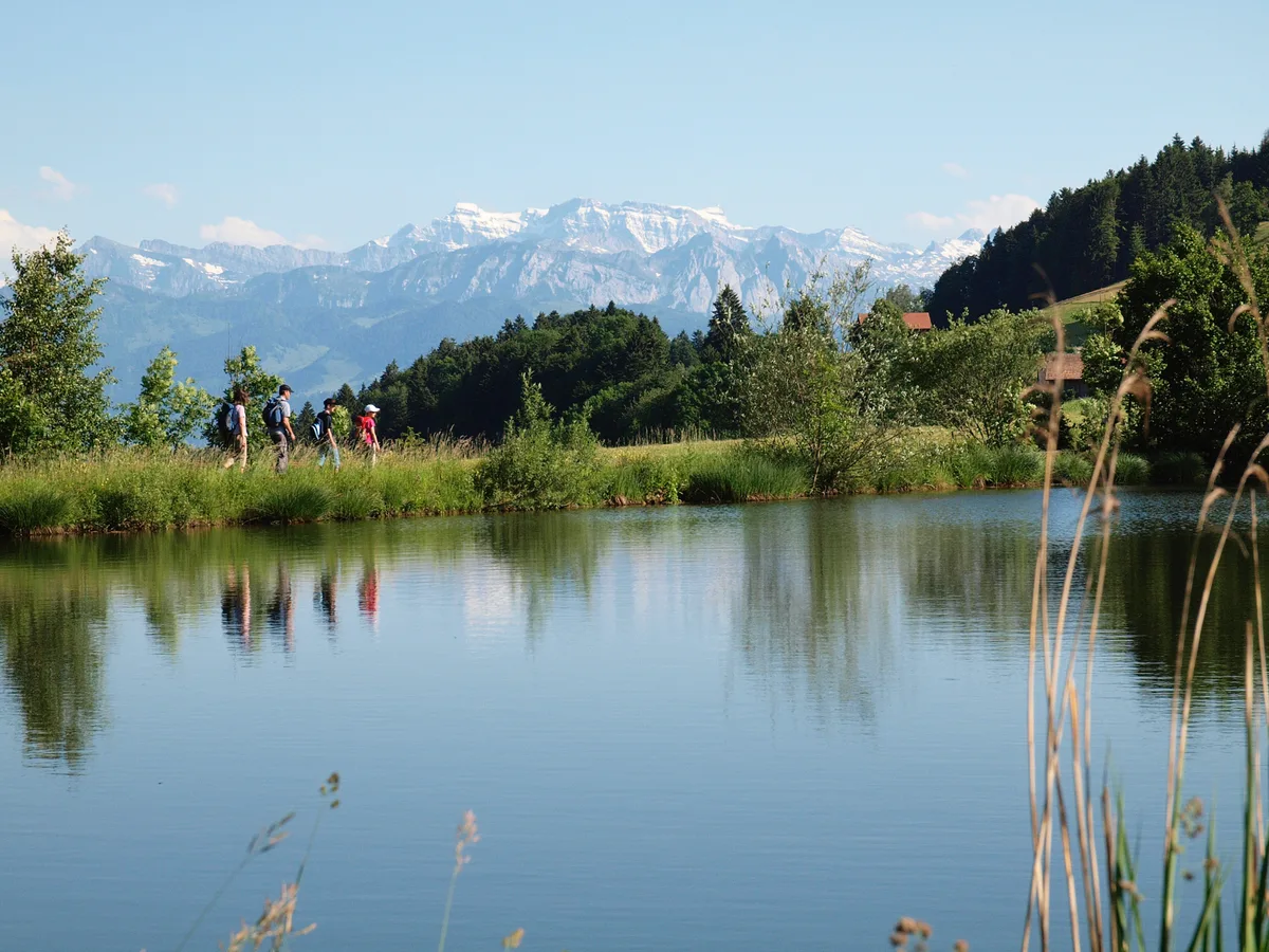 Weiher und Wanderer