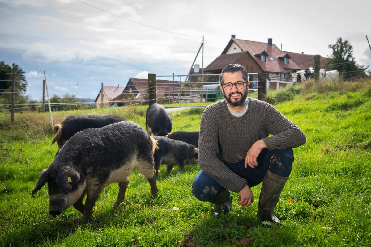 dasfleisch-schweinezucht-nicolaeicke-neftenbach-sbo-7_preview Schlachtung nach 14 bis 18 Monaten: Die Wollschweine von Nicola Eicke leben länger als Artgenossen der Massentierhaltung., Der gelernte Koch arbeitet für die Schweinezucht mit fünf Partnerhöfen zusammen., Hauptabnehmer seines Fleisches sind Spitzengastronomen.