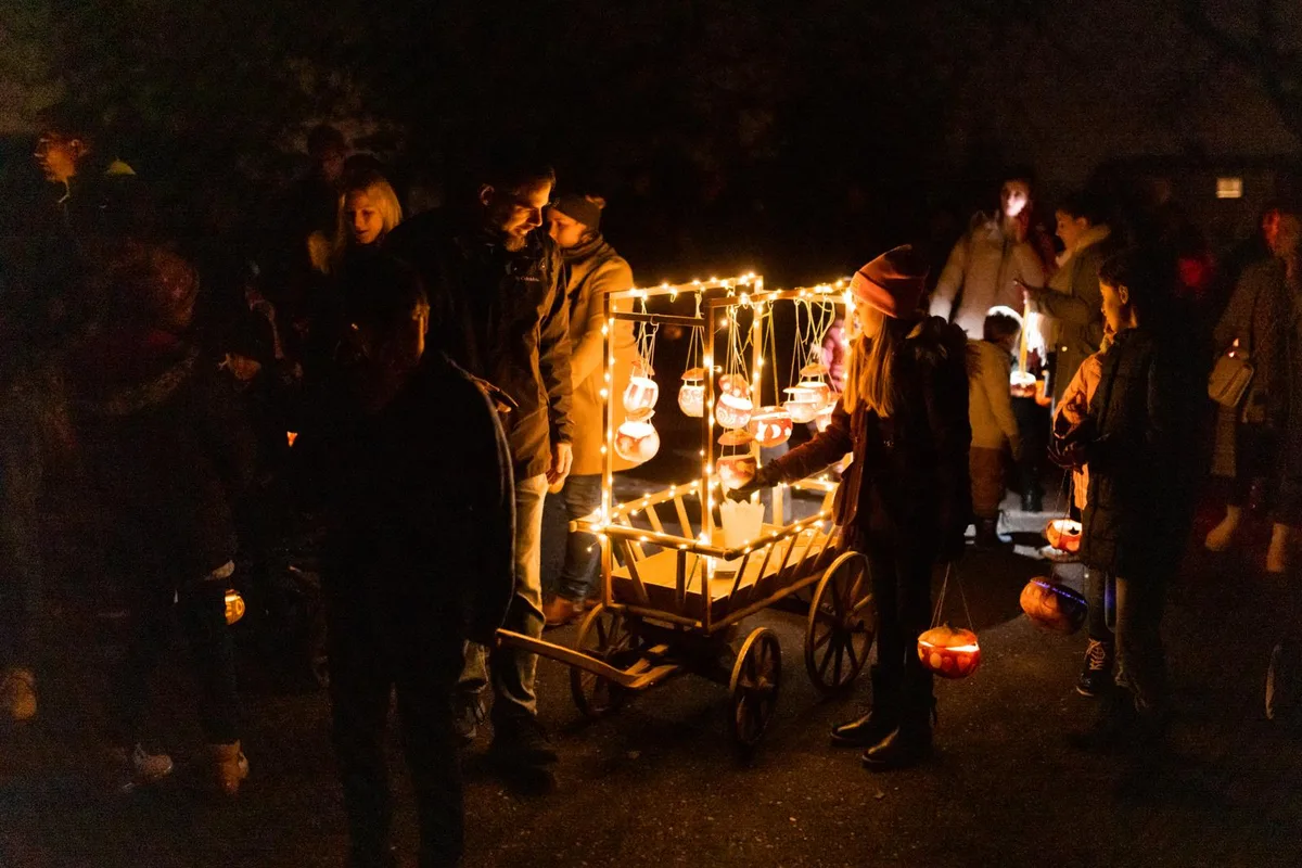 In der Hand oder am Wagen: Die Räbeliechtli leuchten in der Dunkelheit., Der Umzug wird von Tambourengruppen begleitet. , Die abendliche Dunkelheit in Wetzikon wird durch tausende flackernde Lichtlein erhellt., Am Schluss versammeln sich alle Teilnehmeden auf dem Platz beim Schulhaus Guldisloo., Es gibt drei verschiedene Routen zum Guldisloo-Schulhaus., Die Räbeliechtli gilt es zu bestaunen., Das Räbeliechtli ist am Abend die Lichtquellle., Es prangen längst nicht mehr nur die obligaten, mit Backförmchen  ausgestochenen Motive auf den Räben.