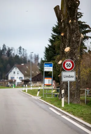 web-lindau Ein junger Mann aus Lindau hatte in der Schweiz verbotene «Kampfhandschuhe» importiert. Nun wurde er dafür bestraft. (Bild: Archiv/Seraina Boner)