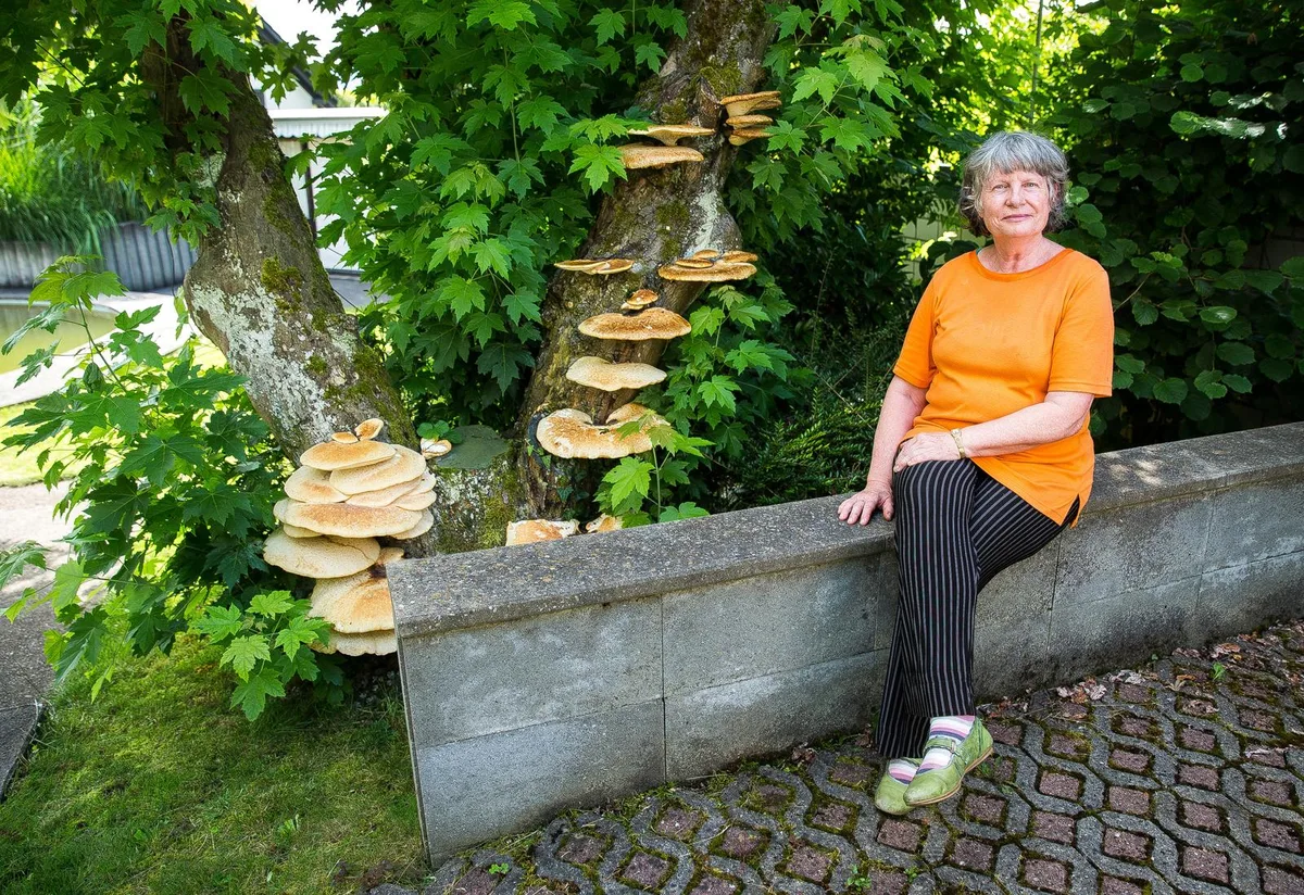 uster_21072016_grosserpilzfund_sbo_1 Sonja Weidmann mit ihrem Pilzfund. (Bild: Seraina Boner)