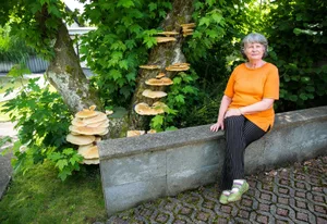 uster_21072016_grosserpilzfund_sbo_1 Sonja Weidmann mit ihrem Pilzfund. (Bild: Seraina Boner)