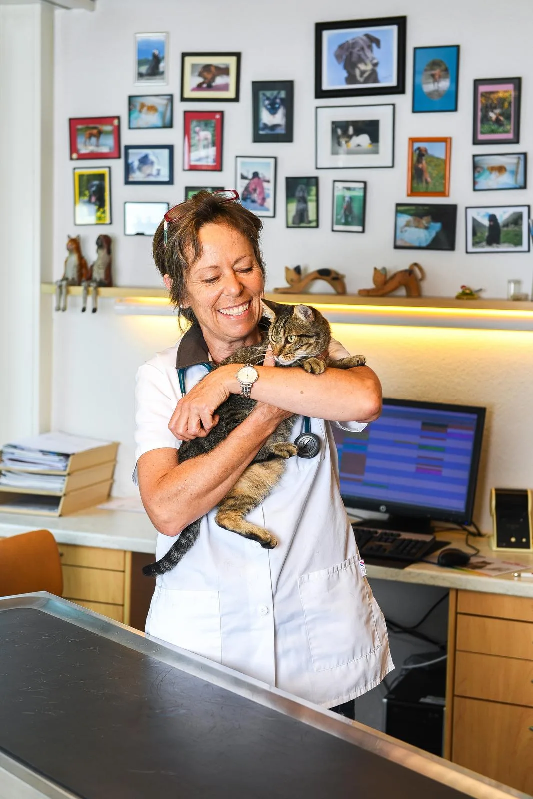 uster_16082016_kleintierarztpraxis_sbo_3 Tierärztin Dr. med. vet. Petra Müller in ihrer Kleintierpraxis PetMed AG. (Bild: Seraina Boner), Im Sommer müsse man vor allem aufpassen, dass die Haustiere nicht überhitzen, erklärt die Tierärztin. (Bild: Seraina Boner)