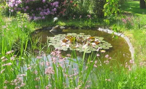 396436_original_r_k_b_by_rita-kohler_pixelio-de_ Der Sturz in einen Gartenteich im Oberland hatte für ein Kleinkind fatale Folgen. Den Besitzer des Teiches trifft am Unfall jedoch keine Schuld. (Symbolbild: Rita Köhler/ixelio.de)