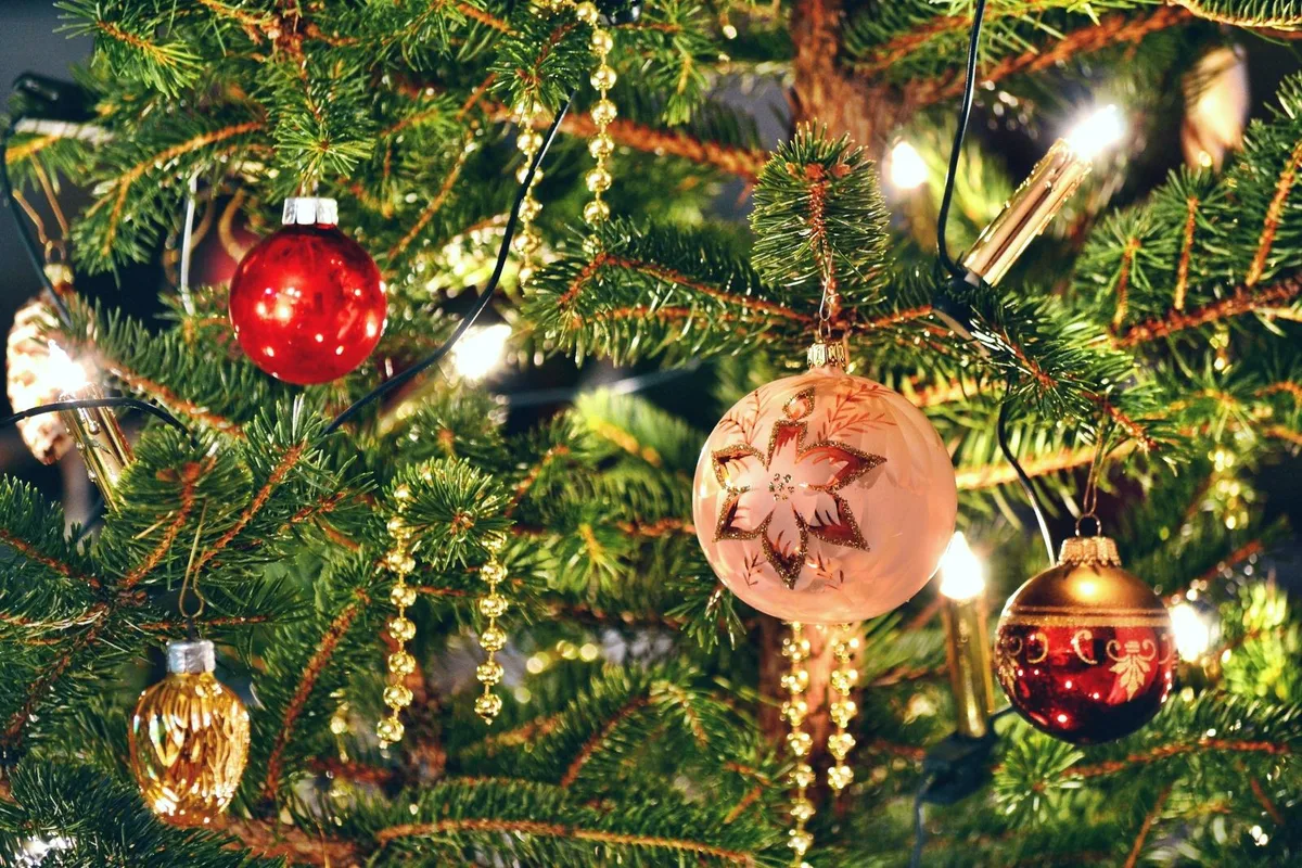 Für mich keine Frage des Geschmacks: zu Weihnachten gehört ein Christbaum. (Bild: Andreas Hermsdorf, pixelio.de)