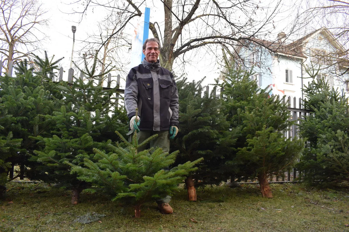 Michael Keller ist noch bis am 24. Dezember im Christbaumverkauf des «Läbesruum» tätig. Bild: Talina Steinmetz