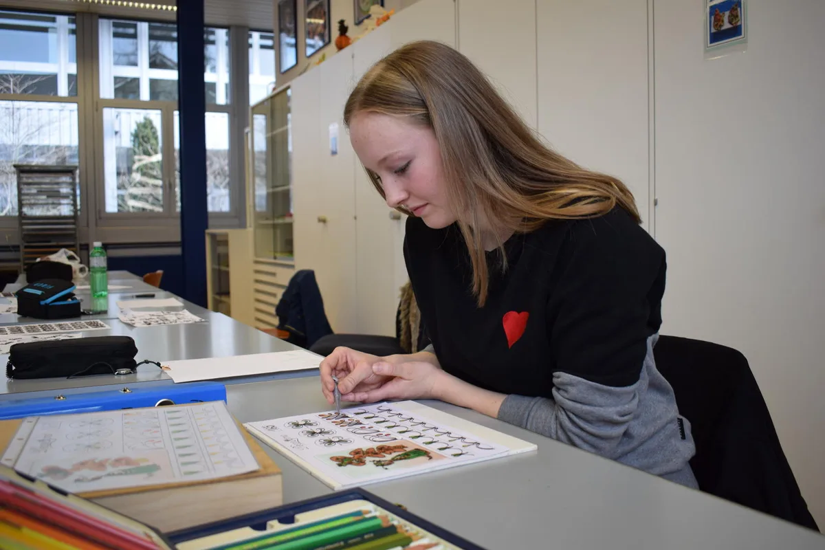 decorissima_2 Viviane Jucker aus Wildberg arbeitet konzentriert an ihrer Dekorationsplatte. , «Ich hoffe, all unsere Werke überleben den Transport zur Decorissima», so die Schülerin lachend.
