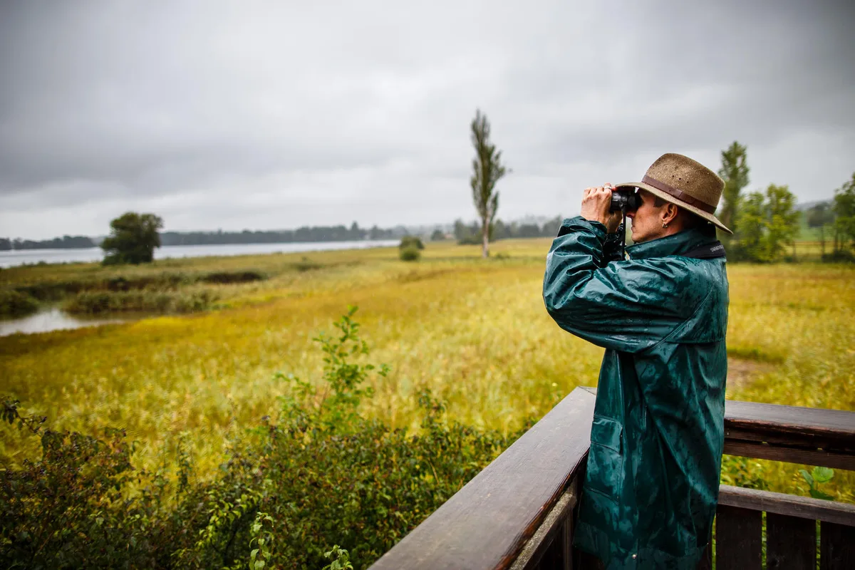 In der Naturstation Silberweide taucht ab und zu ein Eisvogel auf... (Archivbild: Nicolas Zonvi) , ... im Besucherzentrum können Feldstecher zur Beobachtung gemietet werden. (Bild: zvg)