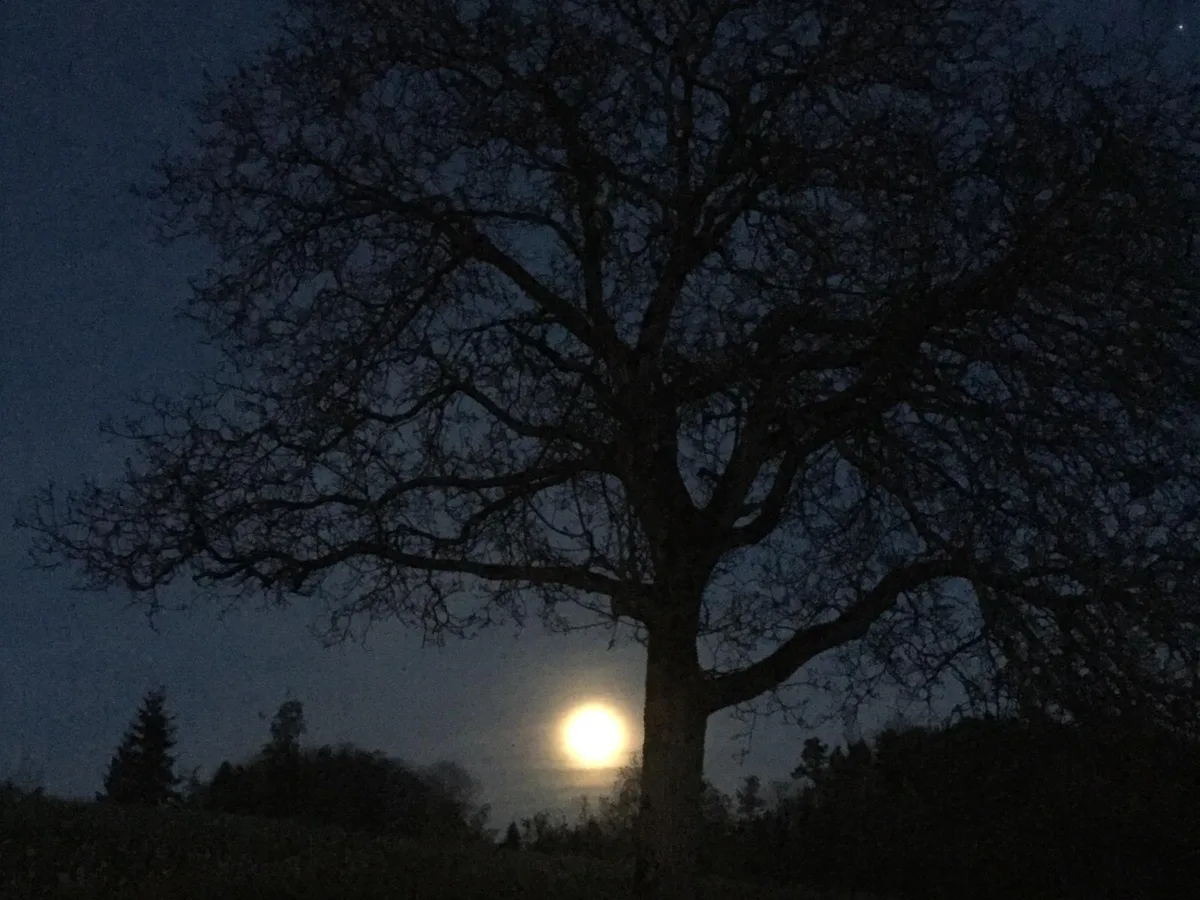 Das Siegerbild von Susanne Lehmann aus Auslikon zeigt den Mond über ihrem Wohnort. (Susanne Lehmann)