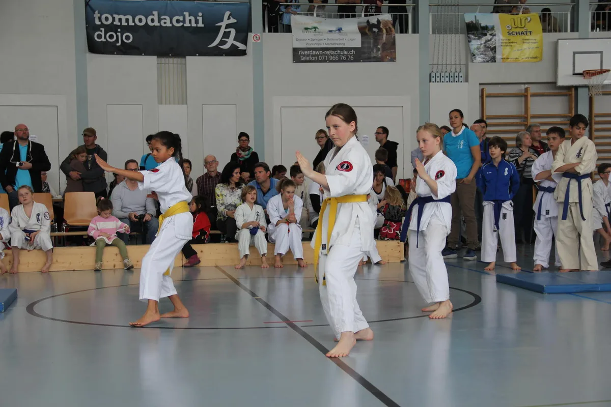 karate_artikel_8-_juni Sara Moskau (l.) und Maeve Moskau sind begeisterte Karate-Kämpfer. (Bild: Norbert Hies)