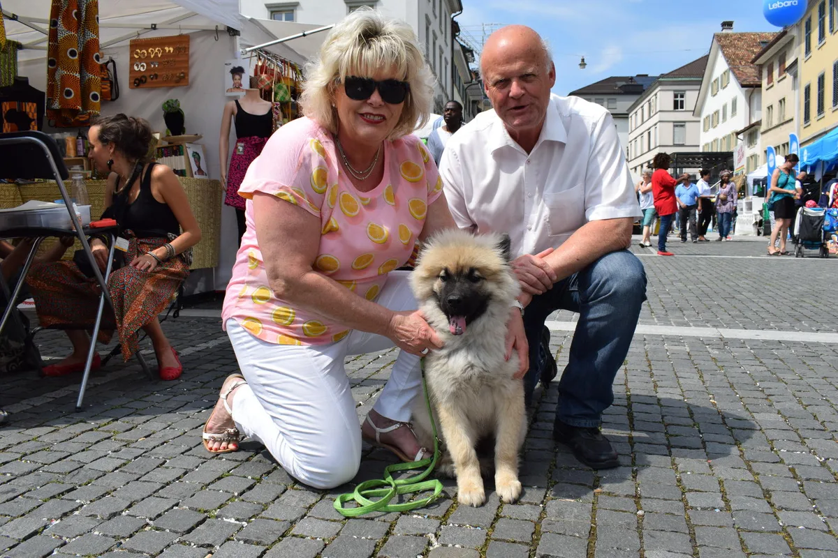 tierliebe_afropfingsten_unbestimmt Der Eurasier Diago gehört seit Ostern zu Erika und Georg Zwald. (Bild: Talina Steinmetz)